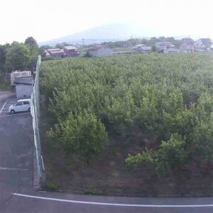 青森県板柳町 ふるさとセンターよりりんご園のライブカメラ