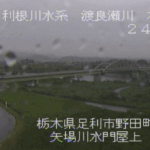 渡良瀬川右岸(矢場川水門屋上)のライブカメラ・栃木県足利市野田町のサムネイル