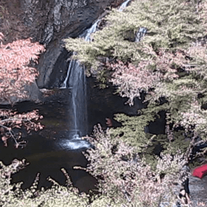 茨城県大子町 月待の滝のライブカメラ