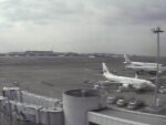 JAL羽田空港第1ターミナル8・9番ゲート付近のライブカメラ|東京都大田区のサムネイル