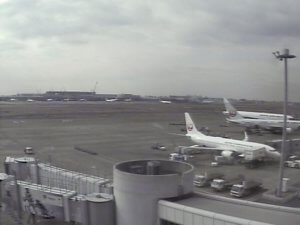 東京都大田区 JAL羽田空港第1ターミナル8・9番ゲート付近のライブカメラ