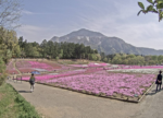 西武秩父駅・羊山公園のライブカメラ|埼玉県秩父市のサムネイル