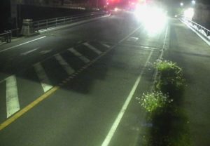 静岡県河津町 国道135号 浜のライブカメラ