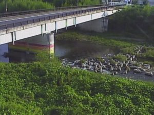 滋賀県近江八幡市 日野川 安吉橋のライブカメラ