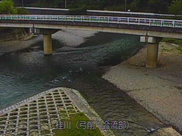桂川 弓削川合流部のライブカメラ|京都府京都市のサムネイル