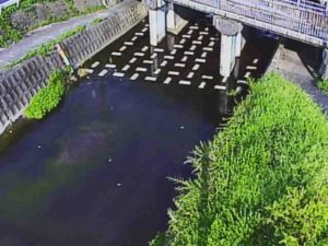 滋賀県草津市 狼川 狼川橋のライブカメラ