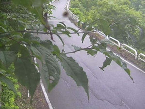 福島県会津若松市 福島県道131号 氷玉トンネル北側坑口のライブカメラ