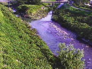 滋賀県愛荘町 宇曽川 島川のライブカメラ