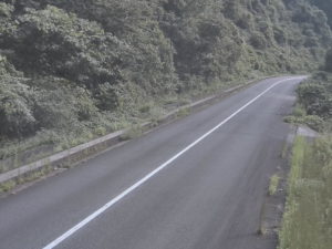 広島県安芸高田市 広島県道4号 川根のライブカメラ