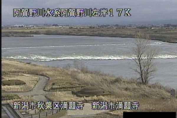 新潟県新潟市 阿賀野川 新潟市満願寺のライブカメラ