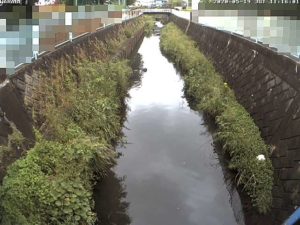 神奈川県横浜市 相沢川 童橋のライブカメラ