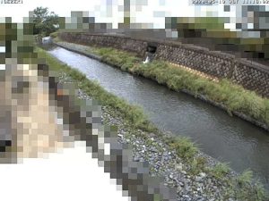 神奈川県横浜市 阿久和川 伊勢堰橋のライブカメラ