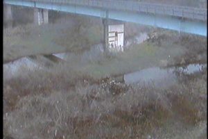 島根県雲南市 斐伊川 新伊萱のライブカメラ