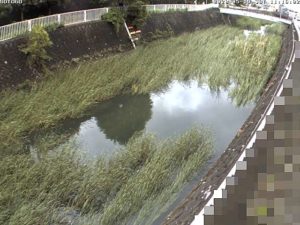 神奈川県横浜市 平戸永谷川 外郷橋のライブカメラ