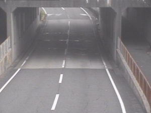 愛知県名古屋市 名古屋市道 日光川左岸のライブカメラ