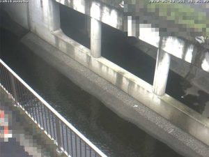 東京都大田区 呑川 石川町のライブカメラ