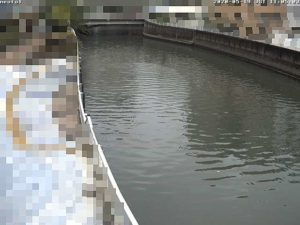 東京都大田区 呑川 夫婦橋上流のライブカメラ