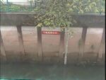石神井川 稲荷橋（静止画）のライブカメラ|東京都練馬区のサムネイル