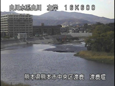 白川 渡鹿堰のライブカメラ|熊本県熊本市のサムネイル