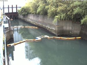東京都品川区 立会川 河口部下流側のライブカメラ