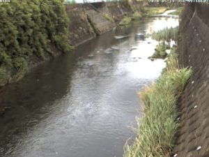 神奈川県横浜市 宇田川 韮橋のライブカメラ