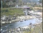 山国川 津民川合流点のライブカメラ|大分県中津市のサムネイル