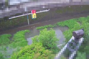 東京都杉並区 善福寺川 丸山橋局のライブカメラ