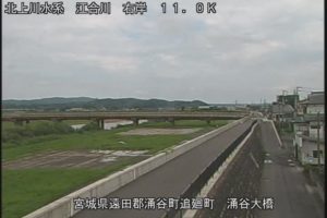 宮城県涌谷町 江合川 涌谷のライブカメラ
