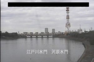 千葉県市川市 江戸川 江戸川区東篠崎のライブカメラ