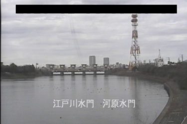 江戸川 江戸川区東篠崎のライブカメラ|千葉県市川市のサムネイル