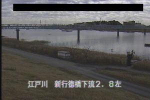 千葉県市川市 江戸川 市川市田尻のライブカメラ