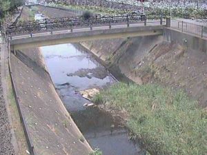神奈川県横浜市 早淵川 鍛冶橋のライブカメラ