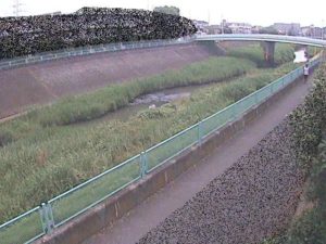 神奈川県横浜市 早淵川 高田橋のライブカメラ