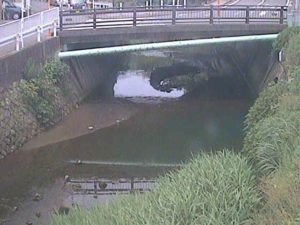神奈川県横浜市 侍従川 六浦2号のライブカメラ