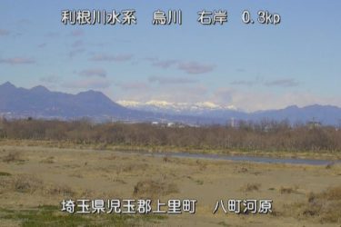 烏川 八町河原のライブカメラ|埼玉県上里町のサムネイル