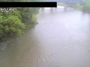 岩手県一戸町 馬淵川 川向のライブカメラ