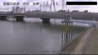 中川 葛飾区青戸のライブカメラ|東京都葛飾区のサムネイル