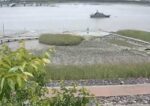六角川 海遊ふれあいパークのライブカメラ|佐賀県小城市のサムネイル