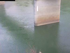 福島県金山町 只見川 西谷橋3のライブカメラ