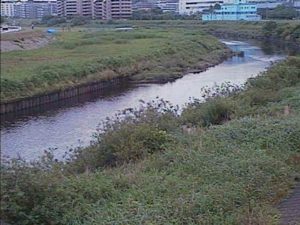 神奈川県横浜市 鶴見川 落合橋のライブカメラ