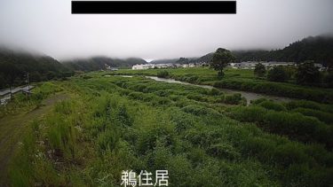 鵜住居川 鵜住居のライブカメラ|岩手県釜石市のサムネイル