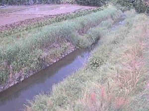 神奈川県平塚市 座禅川 土屋窪橋のライブカメラ