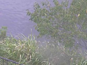 愛知県あま市 蟹江川 木田のライブカメラ