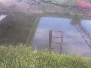 愛知県蟹江町 蟹江川 須成のライブカメラ
