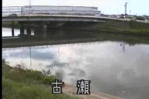 愛知県愛西市 日光川 古瀬のライブカメラ