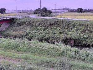 愛知県西尾市 矢崎川 桑原のライブカメラ