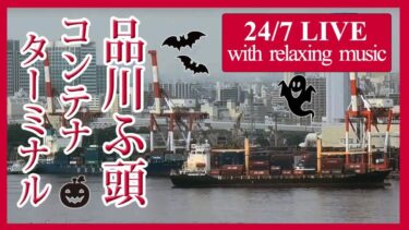 品川コンテナ埠頭のライブカメラ|東京都品川区のサムネイル