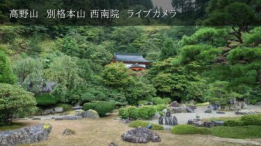 西南院庭園のライブカメラ|奈良県葛城市のサムネイル