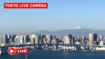 レインボーブリッジ・豊洲市場のライブカメラ|東京都江東区のサムネイル