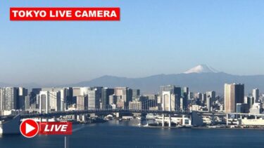 レインボーブリッジ・豊洲市場のライブカメラ|東京都江東区のサムネイル